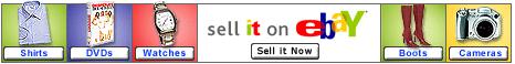 eBay Shopping Auction