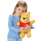  Fisher Price Pooh Knows Your Name Plush Doll 