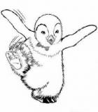  Happy Feet Mumble coloring pages 