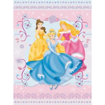 disney princesses pictures. Disney Princess Comforter