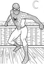  Spider-man superhero 
