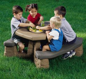  Naturally Playful Picnic Table 